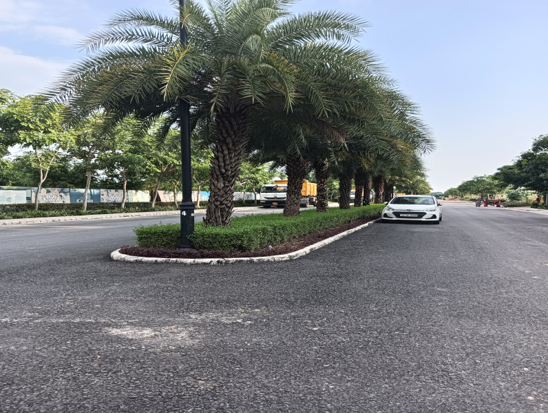  Residential Plot 1250 Sq.ft. for Sale in Sultanpur Road, Lucknow