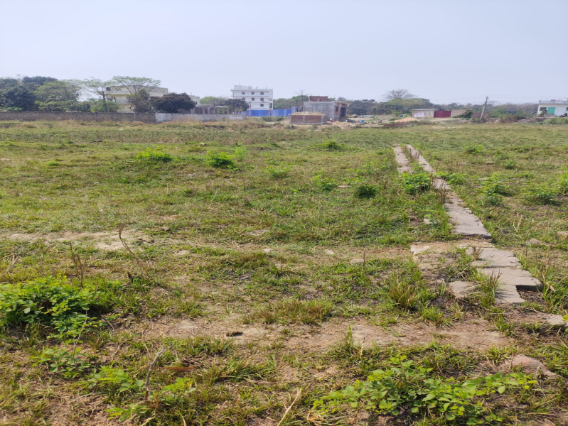  Residential Plot 5280 Sq.ft. for Sale in Patahi, Muzaffarpur