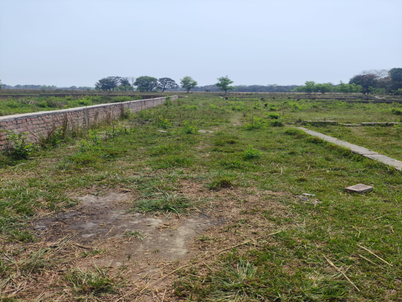  Residential Plot 5280 Sq.ft. for Sale in Patahi, Muzaffarpur