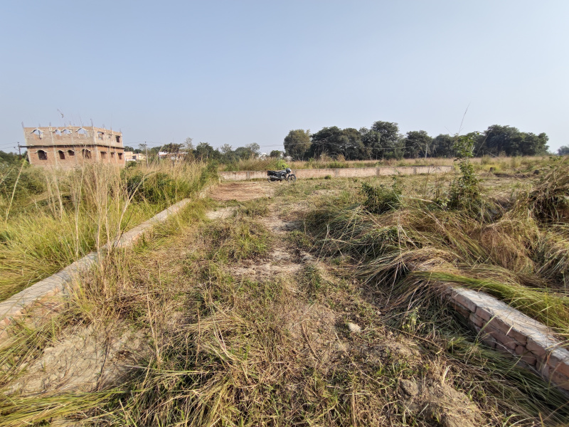  7040 Sq.ft. Residential Plot for Sale in Patahi, Muzaffarpur