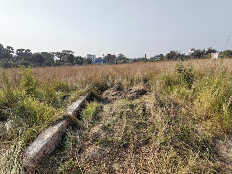  7040 Sq.ft. Residential Plot for Sale in Patahi, Muzaffarpur