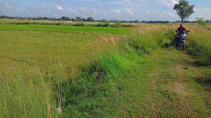  Residential Plot 15000 Sq.ft. for Sale in Turki, Muzaffarpur