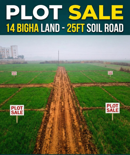  14 Bigha Residential Plot for Sale in Turki, Muzaffarpur
