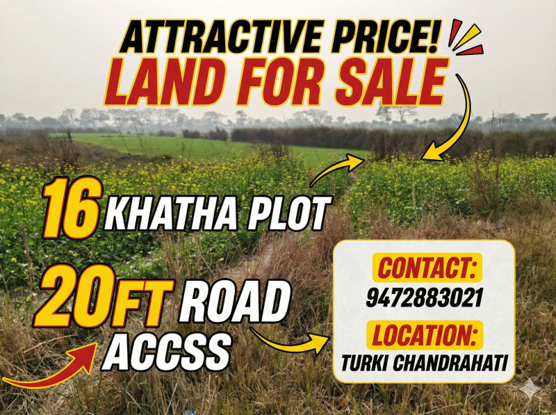  28160 Sq.ft. Residential Plot for Sale in Turki, Muzaffarpur