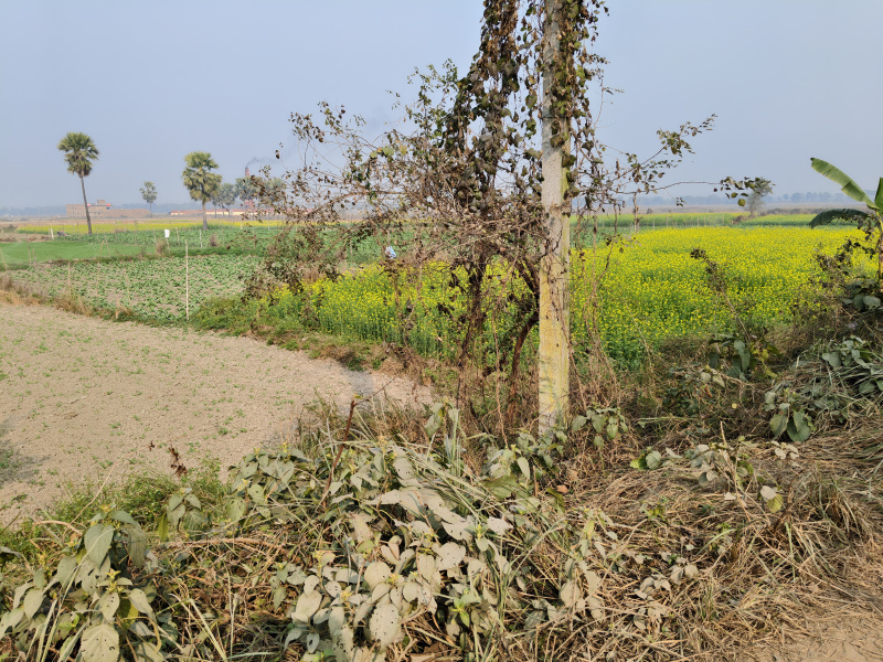  176000 Sq.ft. Residential Plot for Sale in Turki, Muzaffarpur