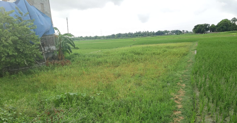 Kurhani, Muzaffarpur photo 2