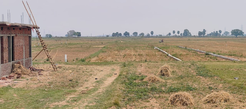  Residential Plot 1200 Sq.ft. for Sale in Khusrupur, Patna