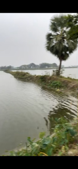  Agricultural Land for Sale in Rajarhat Gopalpur, North 24 Parganas