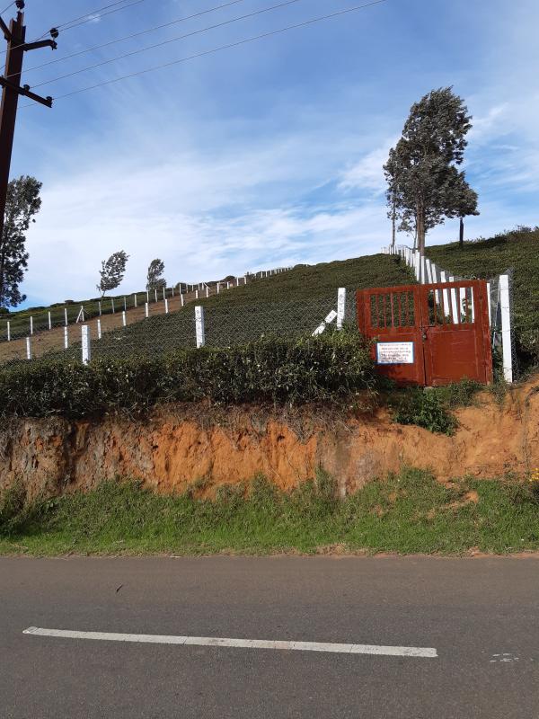 Coonoor, Ooty photo 2
