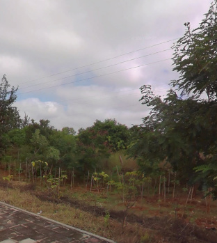  Agricultural Land for Rent in Rampally, Hyderabad