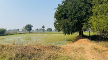  Agricultural Land for Sale in Bhongir, Yadadri Bhuvanagiri