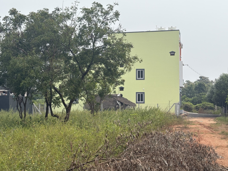 Kalapet, Pondicherry photo 3
