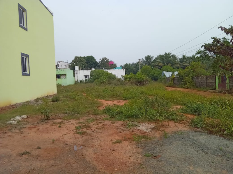 Kalapet, Pondicherry photo 4