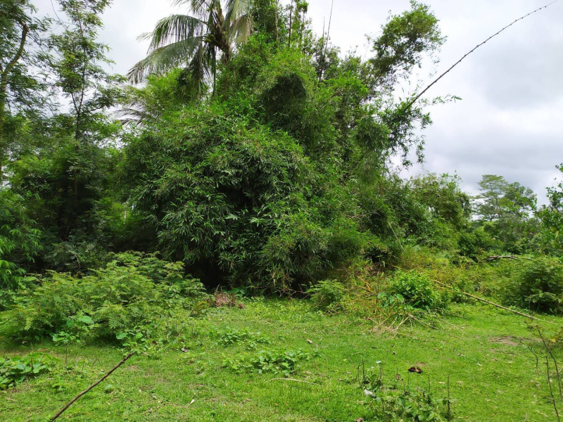  Residential Plot 10000 Sq.ft. for Sale in Pattamundai, Kendrapara