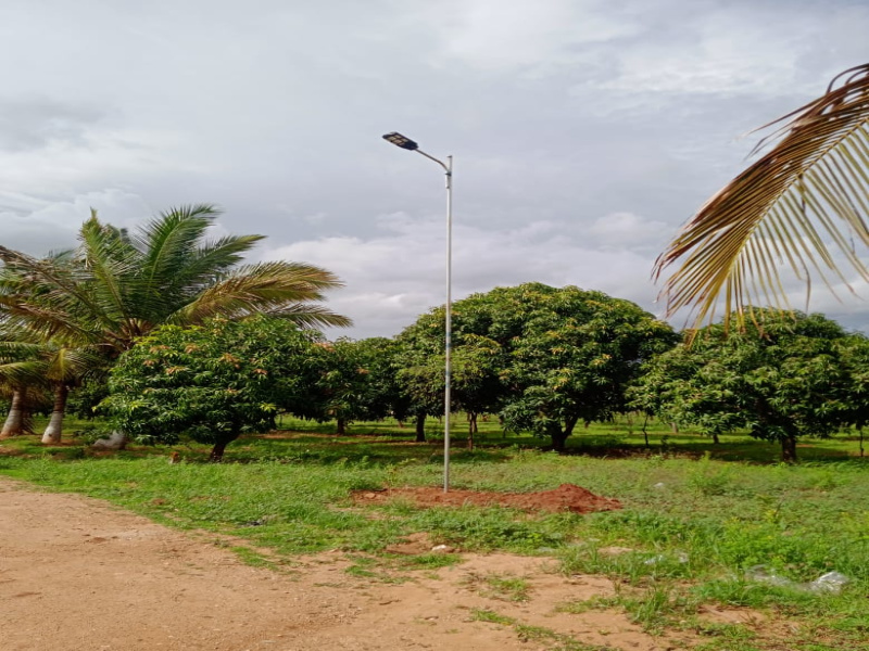  Agricultural Land 6000 Sq.ft. for Sale in Pavagada, Tumkur