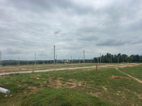  Residential Plot for Sale in Shrirangapattana, Mandya