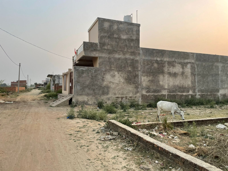  Residential Plot 1250 Sq.ft. for Sale in Chinhat Satrik Road, Lucknow