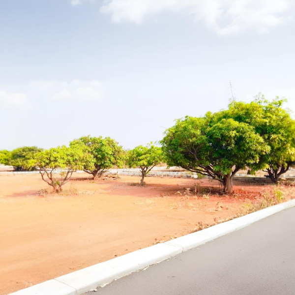  Residential Plot 2400 Sq.ft. for Sale in Denkanikottai Road, Hosur