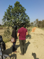  Residential Plot for Sale in Hetimpur, Kushinagar