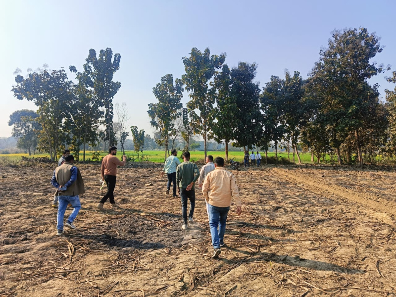  Residential Plot 1000 Sq.ft. for Sale in Hetimpur, Kushinagar