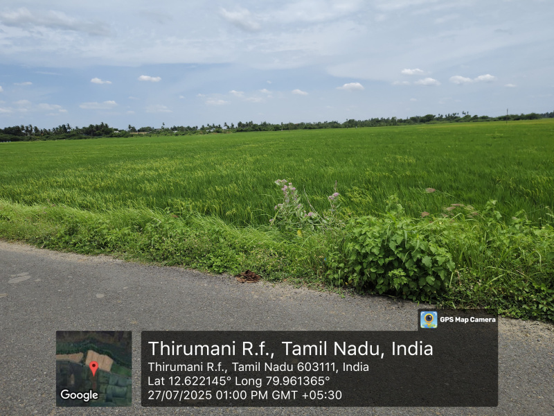  Agricultural Land 113 Cent for Sale in Mamandur, Chengalpattu