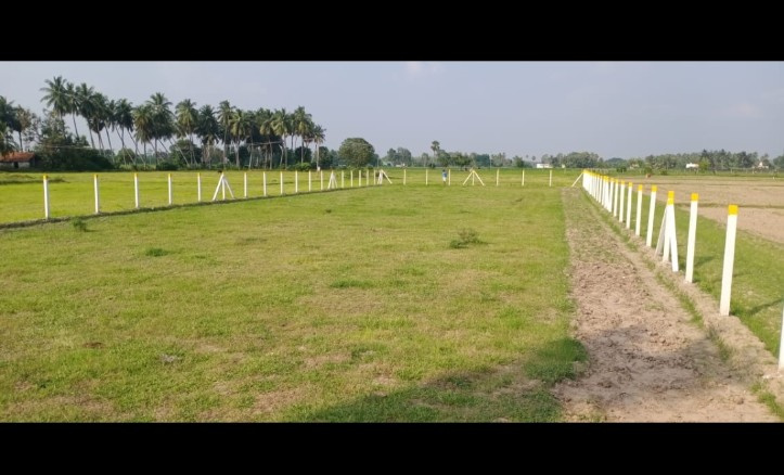  Agricultural Land 41 Sq.ft. for Sale in Pudupattinam, Chengalpattu