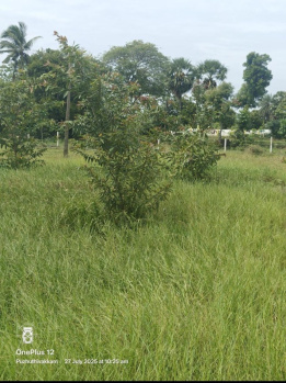  Agricultural Land for Sale in Vedachalam Nagar, Chengalpattu