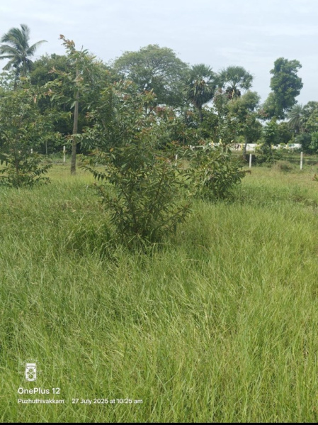  9600 Sq.ft. Agricultural/Farm Land for Sale in Vedachalam Nagar, Chengalpattu
