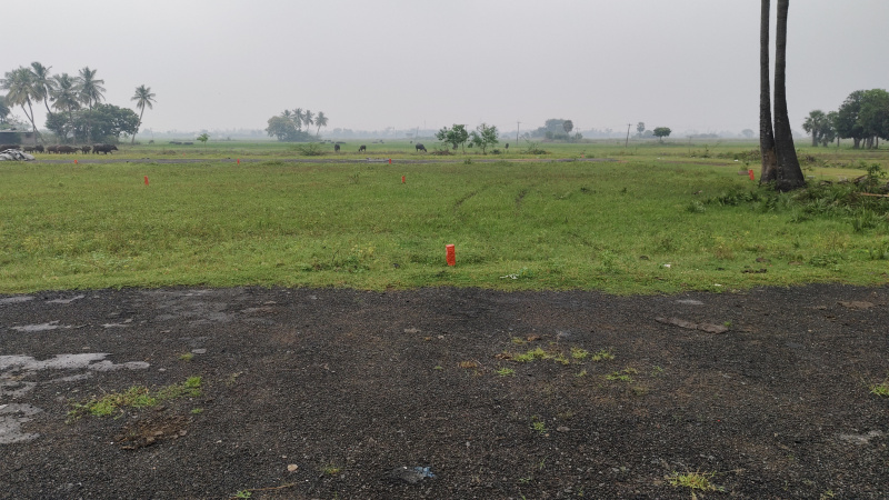  2000 Sq.ft. Residential Plot for Sale in Guduvancheri, Chennai