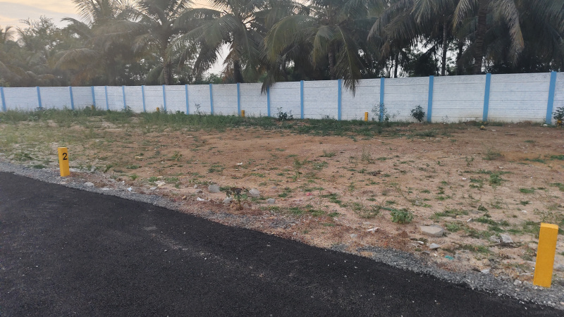 Thiruporur, Chengalpattu photo 3