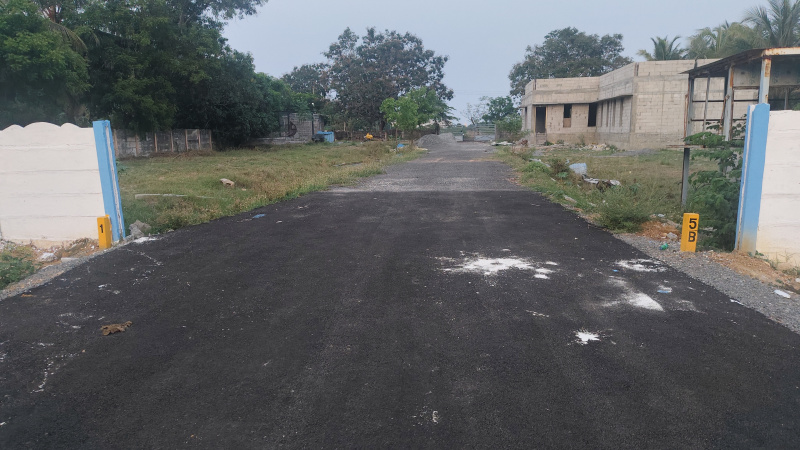 Thiruporur, Chengalpattu photo 4