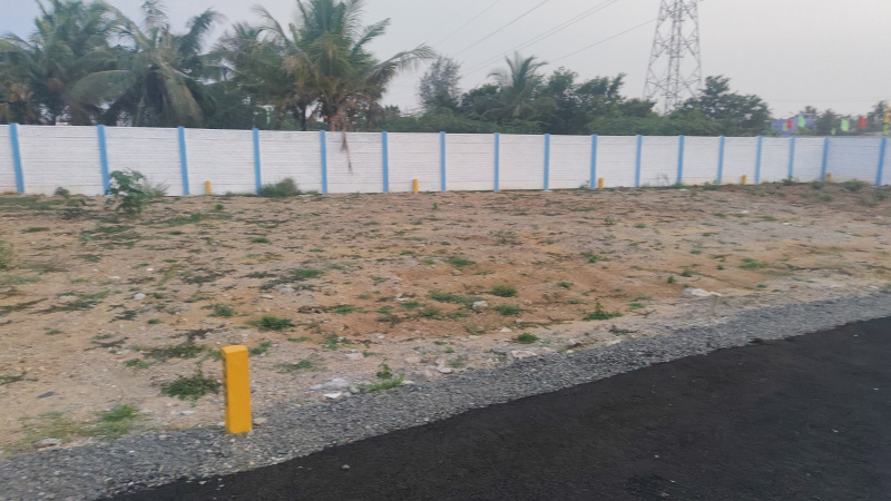 Thiruporur, Chengalpattu photo 2