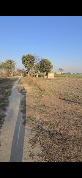  Residential Plot 100 Sq. Yards for Sale in Patwari Ka Nagla, Aligarh