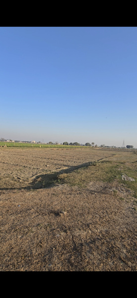  Residential Plot 100 Sq. Yards for Sale in Patwari Ka Nagla, Aligarh