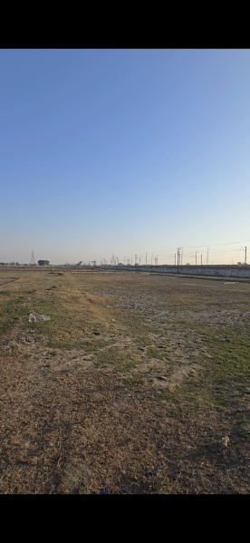  Residential Plot 100 Sq. Yards for Sale in Patwari Ka Nagla, Aligarh