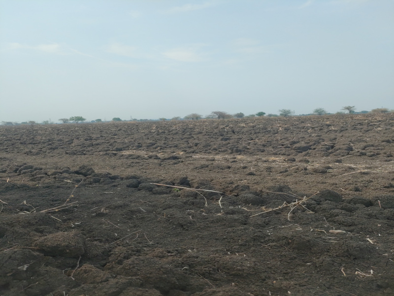  Agricultural Land 10 Acre for Sale in Pundlik Baba Nagar, Amravati