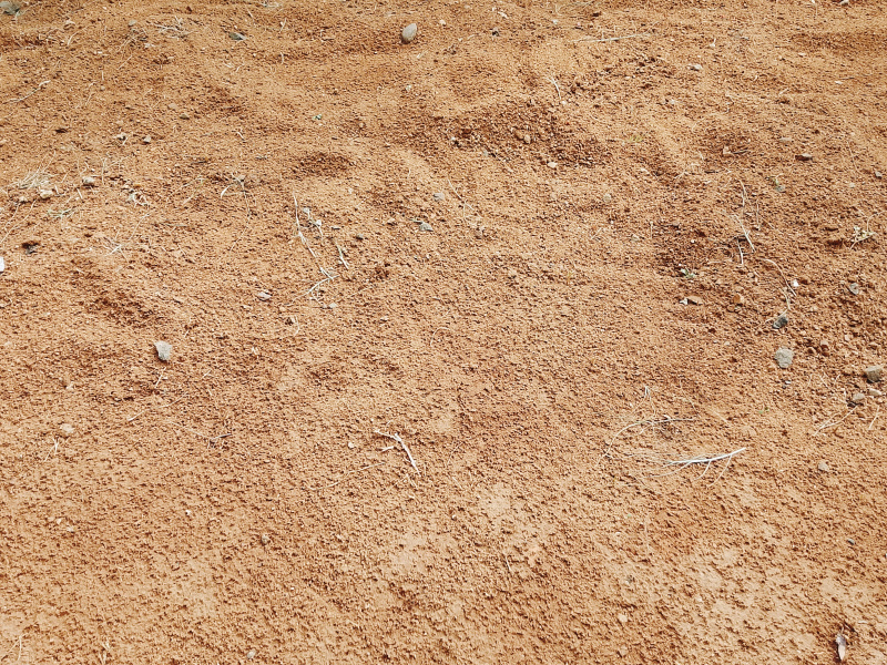  Residential Plot 12 Cent for Sale in Idaiyangudi, Tirunelveli