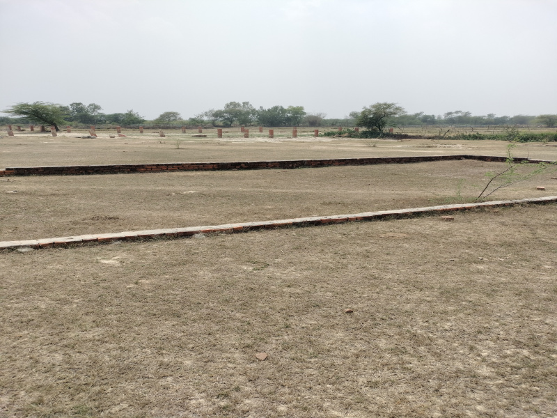  Residential Plot 1000 Sq.ft. for Sale in New Jail Road, Lucknow