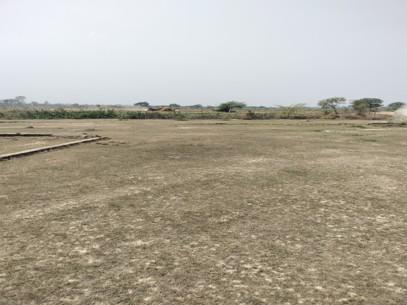  Residential Plot 1000 Sq.ft. for Sale in New Jail Road, Lucknow
