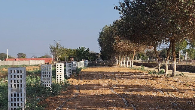  800 Sq. Yards Residential Plot for Sale in Diggi Road, Jaipur