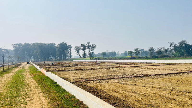  Residential Plot 800 Sq.ft. for Sale in Maniram, Gorakhpur