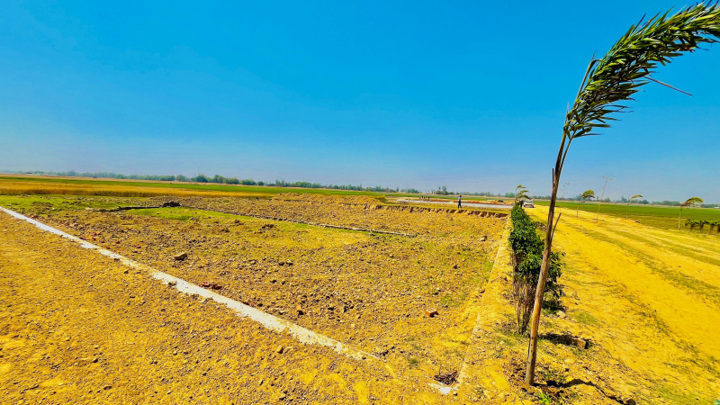 Residential Plot 800 Sq.ft. for Sale in Maniram, Gorakhpur