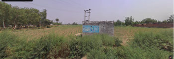  Agricultural Land for Sale in Nehtaur, Bijnor