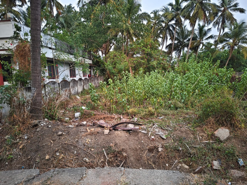  Residential Plot 7 Cent for Sale in Olavakkode, Palakkad