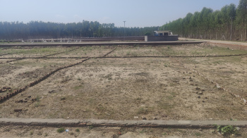  Residential Plot for Sale in Ganeshpur, Dehradun