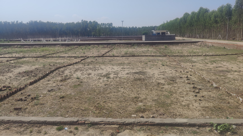  Residential Plot 200 Sq. Yards for Sale in Ganeshpur, Dehradun