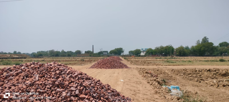  Residential Plot 1000 Sq.ft. for Sale in Yamuna Expressway, Greater Noida