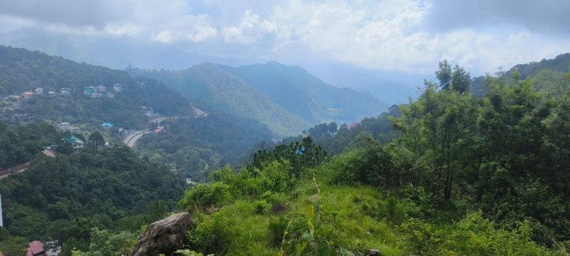  Agricultural Land 25 Bigha for Sale in Kasauli, Solan