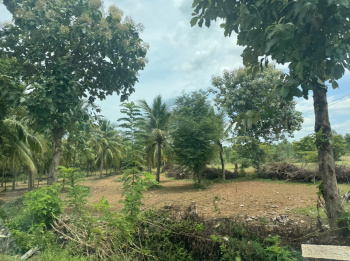  Industrial Land for Sale in Gummidipoondi, Chennai