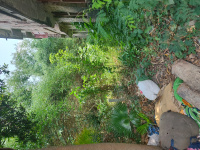  Residential Plot for Sale in Kolaghat, Medinipur